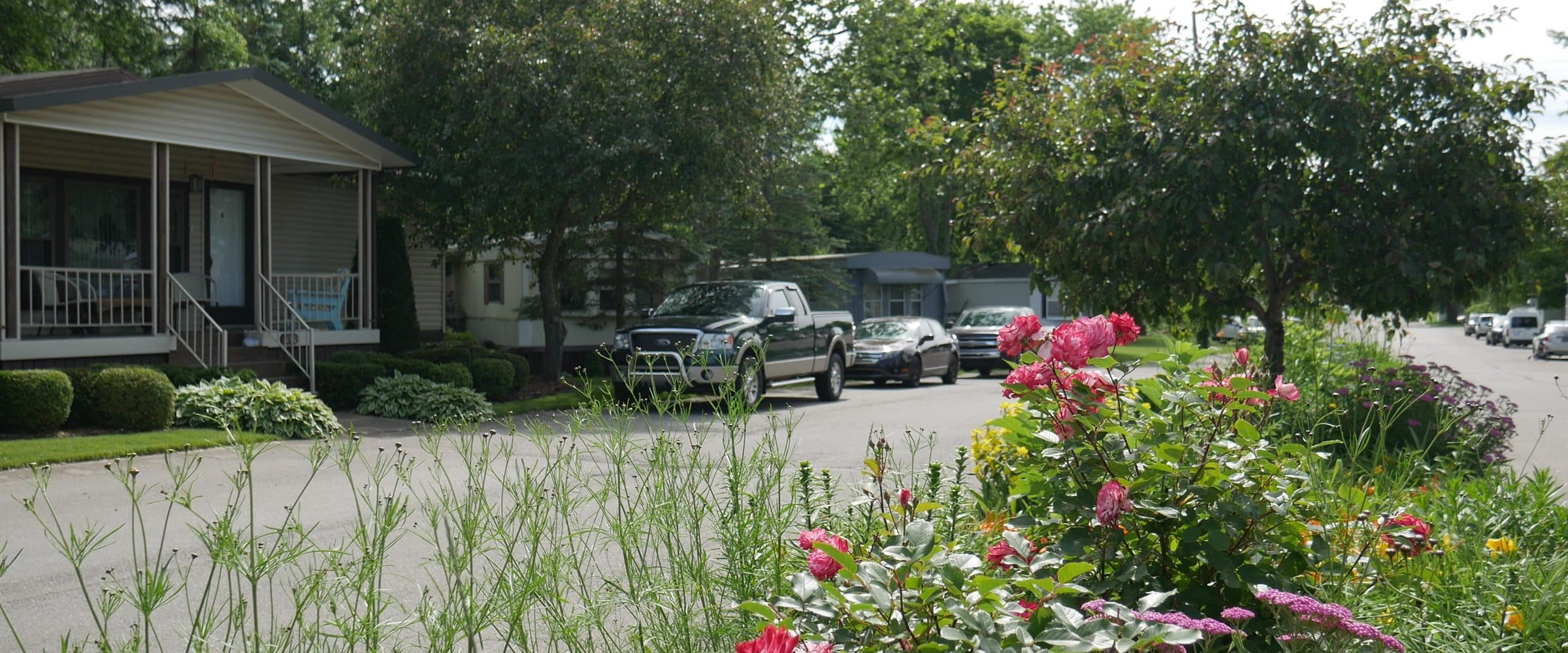 Flower-lined street with homes at Lapeer Meadows