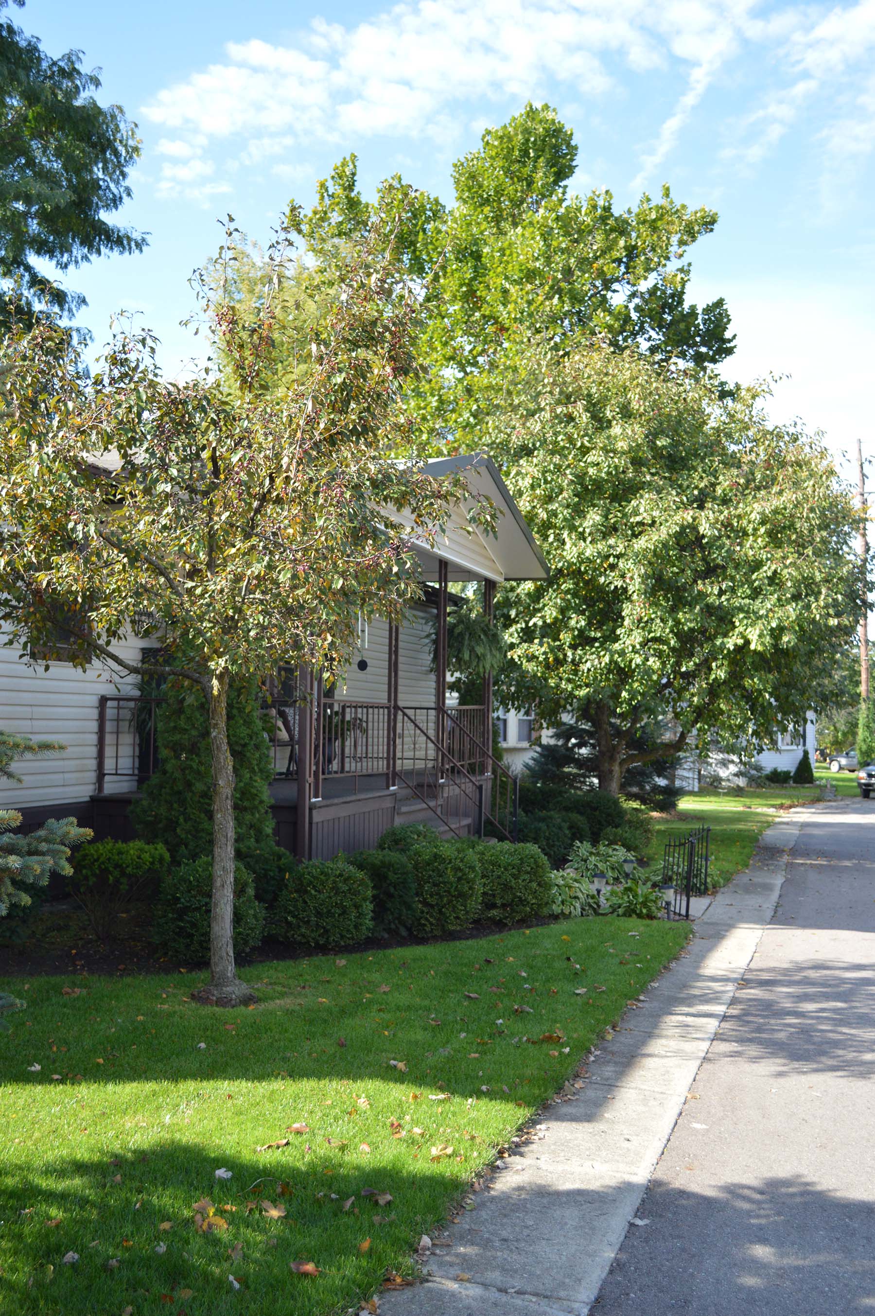 Quiet tree-lined street in Lapeer Meadows