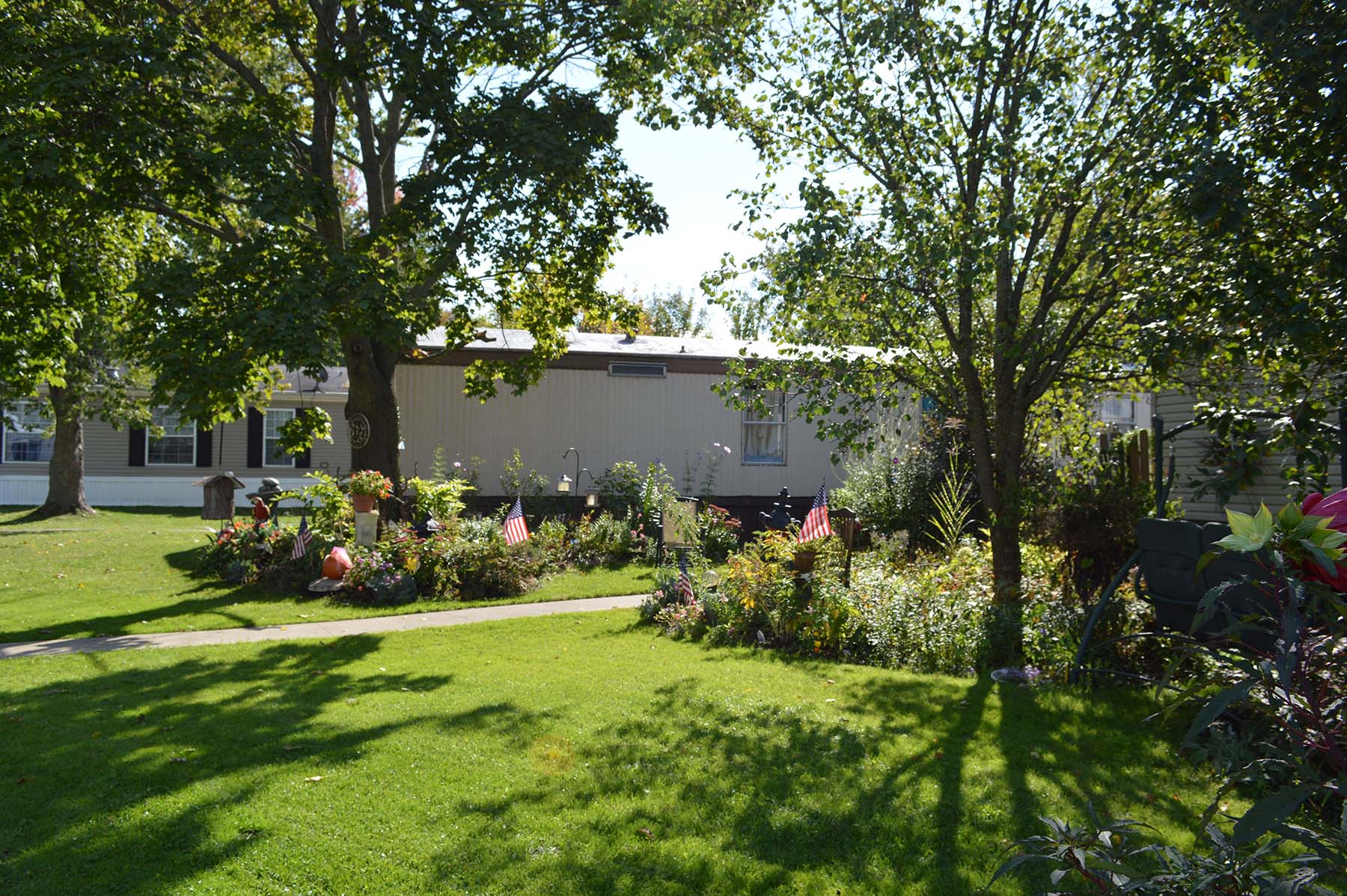 Shaded community lawn with mature trees