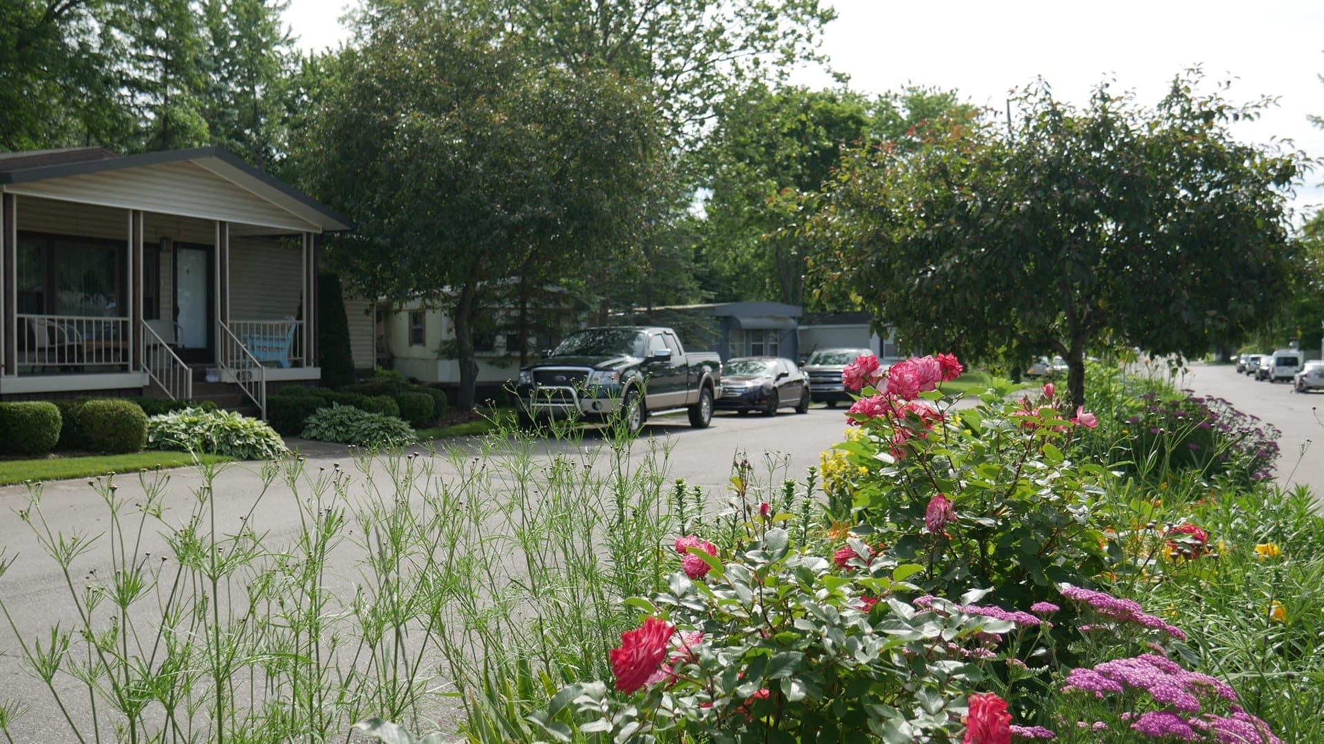 Flower-lined street with homes at Lapeer Meadows